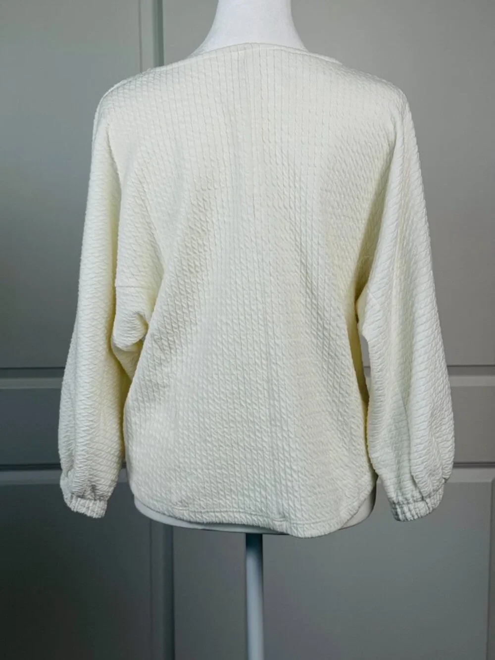ANTHROPOLOGIE Arya Ivory Textured Top Balloon Puff Sleeves, Size Small